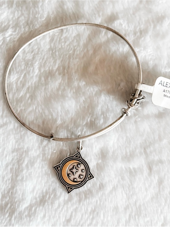 Alex and Ani Jewelry - NWT! Alex and Ani Moonlight Charm Bracelet - Silver & Gold